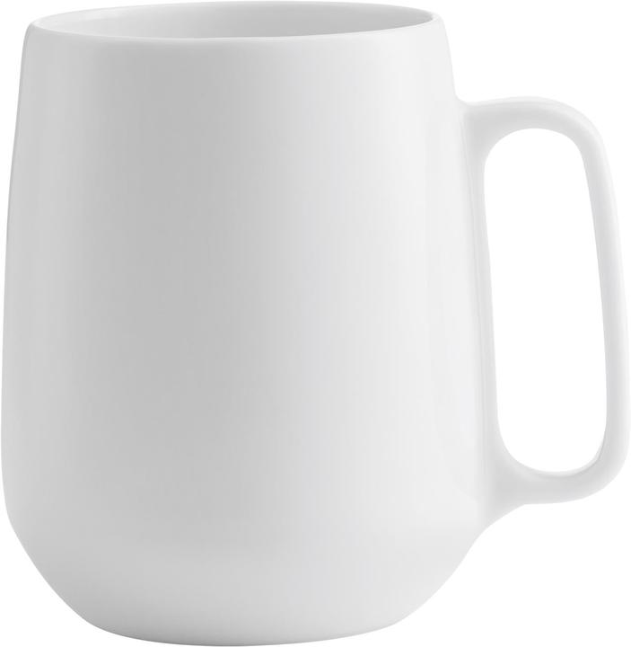 Enso (300 ml, 1 x)