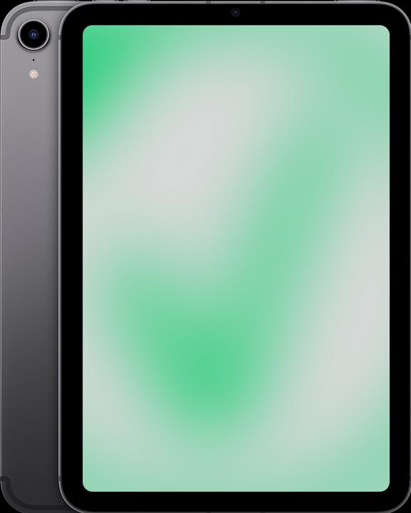 Image du produit Revendo iPad mini 6e génération (2021) (5G, 8.30", 256 Go, Space grey, C / Bon)