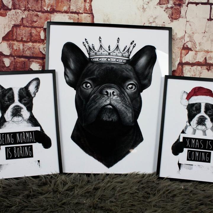 Image du produit Trenddeko Le roi des bouledogues français (24 x 30 cm)