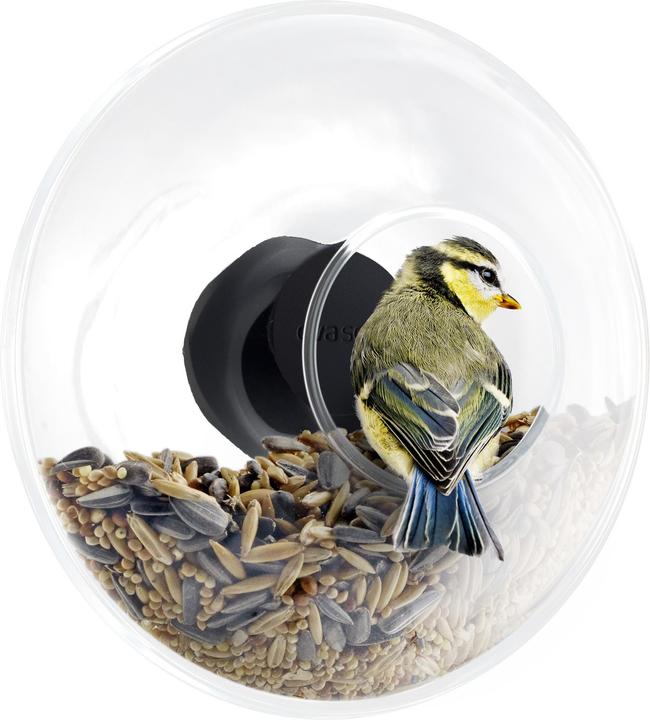 Actual product image Eva Solo Window feeder