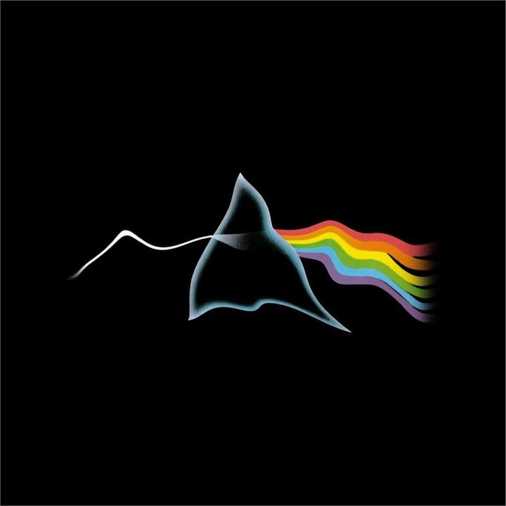 Produktbild Pink Floyd TShirt (M)