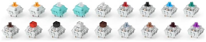 Actual product image Glorious PC Gaming Race Mx Switch Pack