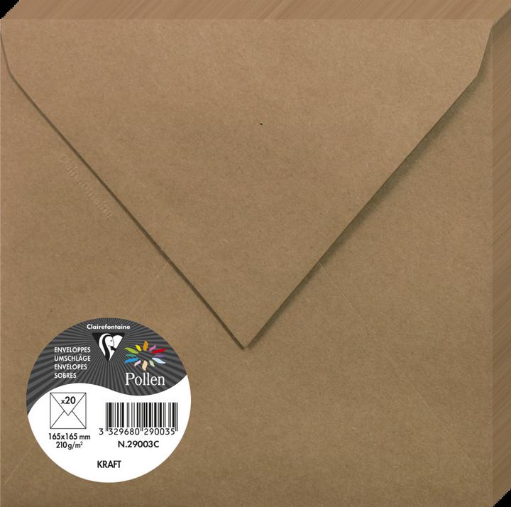 Image du produit Pollen Enveloppes (165 x 165 mm, 20 x)