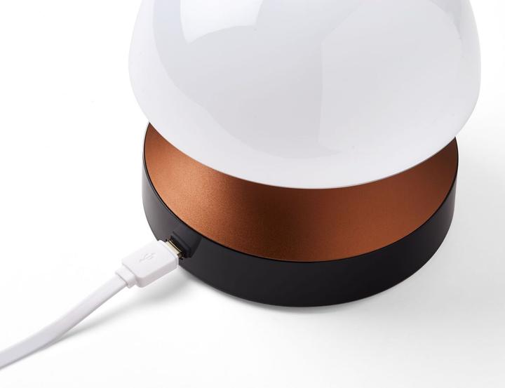 Actual product image Lexon Mina Sunrise