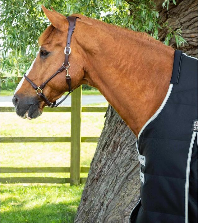 Immagine prodotto Premier Equine Lucanta 100 g (191 cm)
