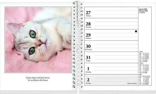 Actual product image Schmusekatzen Fotokalender 2025 (17 x 20 cm, German)