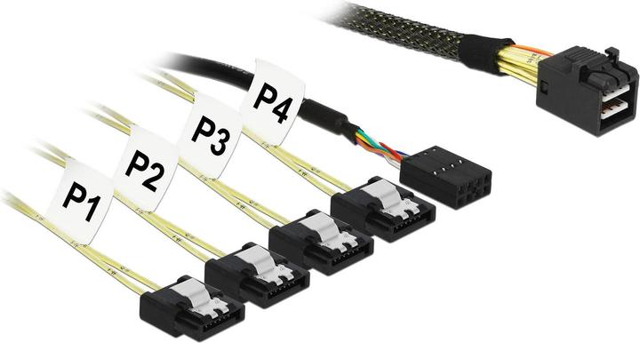 Delock Câble HD Mini SAS
