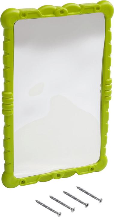 Colibri Haha mirror