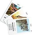 Actual product image 100 Pics PICS animals (German)