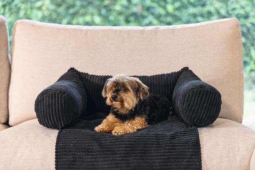 Image du produit Designed by Lotte Ribbed (Chien)