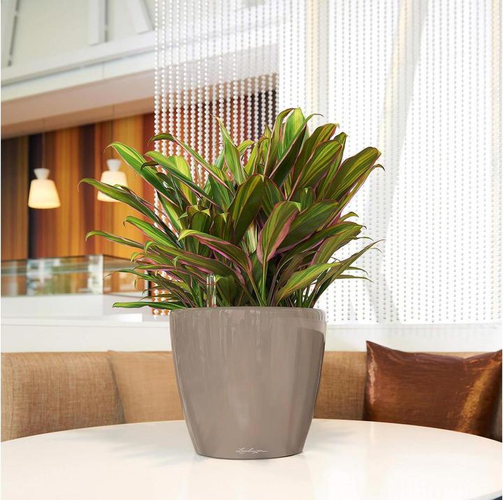 Produktbild Lechuza Classico (28.50 cm)
