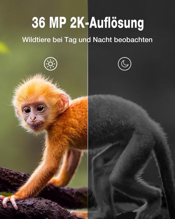 Produktbild Wolfang Wildkamera