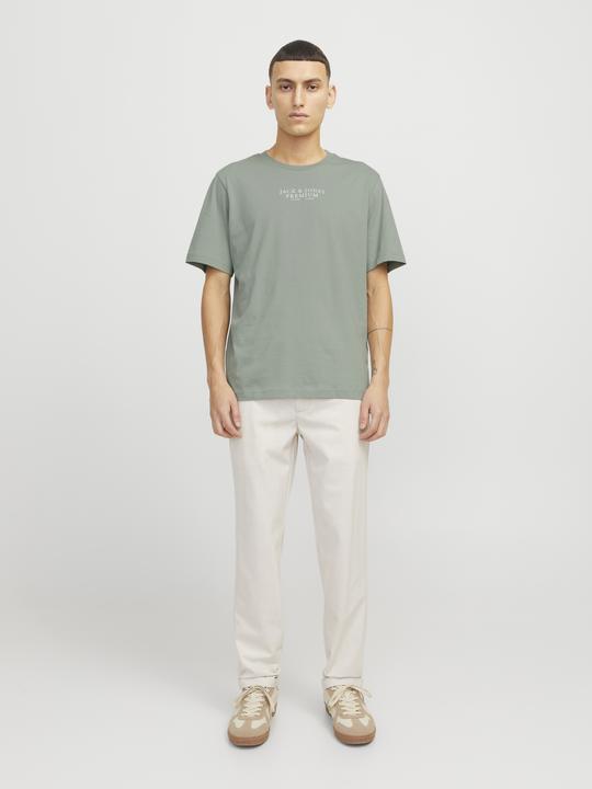 Actual product image Jack & Jones Jprbluarchie Ss Tee Crew Neck Noos (XXL)