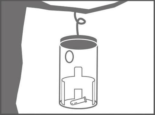 Actual product image Swissinno Buchsbaumzünsler-Falle inkl. 1x Pheromon