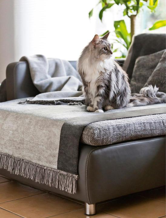 Produktbild Biederlack Sessel- und Sofaschoner "Cover Cotton" (100x200 cm)