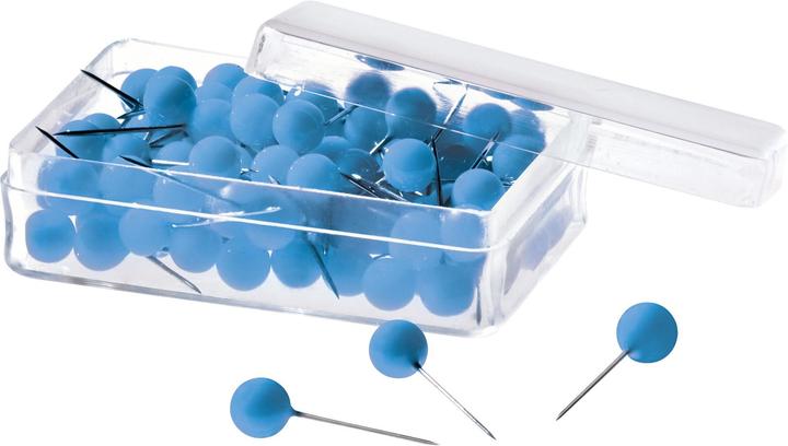 Magnetoplan Pinwand-Nadeln (100 Stück, 114 mm)