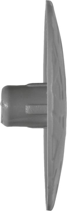 Productafbeelding Fischer 46843 - 250 st.(en) - Grijs - Doos (250 Pcs.)