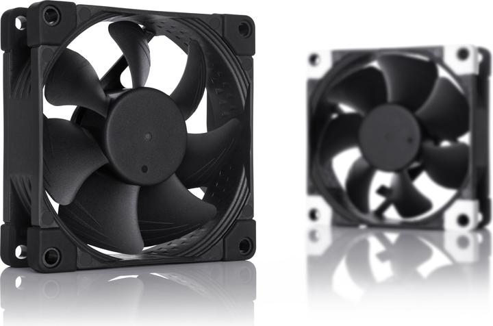 Image du produit Noctua Ventilateur PC NF-A8 PWM chromax (80 mm, 1 x)