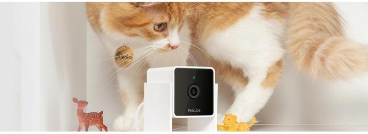 Produktbild Petcube Haustierkamera (Katzenminzespielzeug)