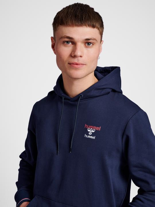 Actual product image hummel Ic Dayton Hoodie (XS)