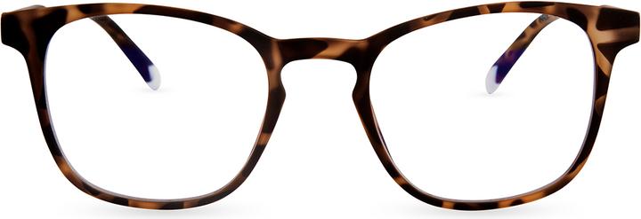Barner Dalston Tortoise Computer Glasses