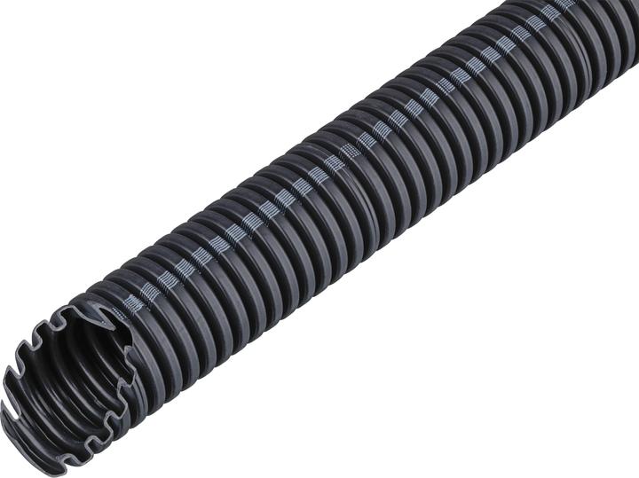 Sw