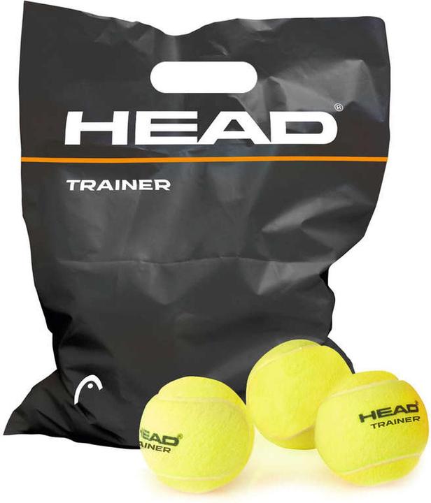 Head Trainer
