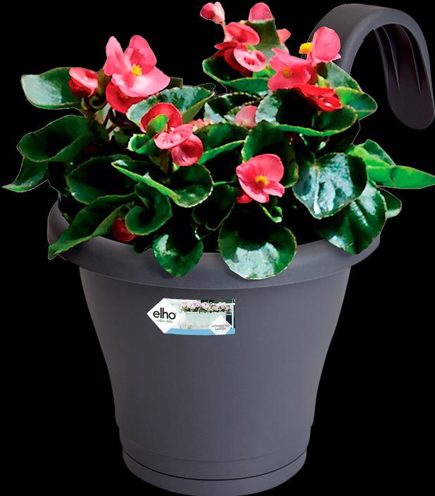 Produktbild Elho Corsica Easy Hänger Single (19 cm)