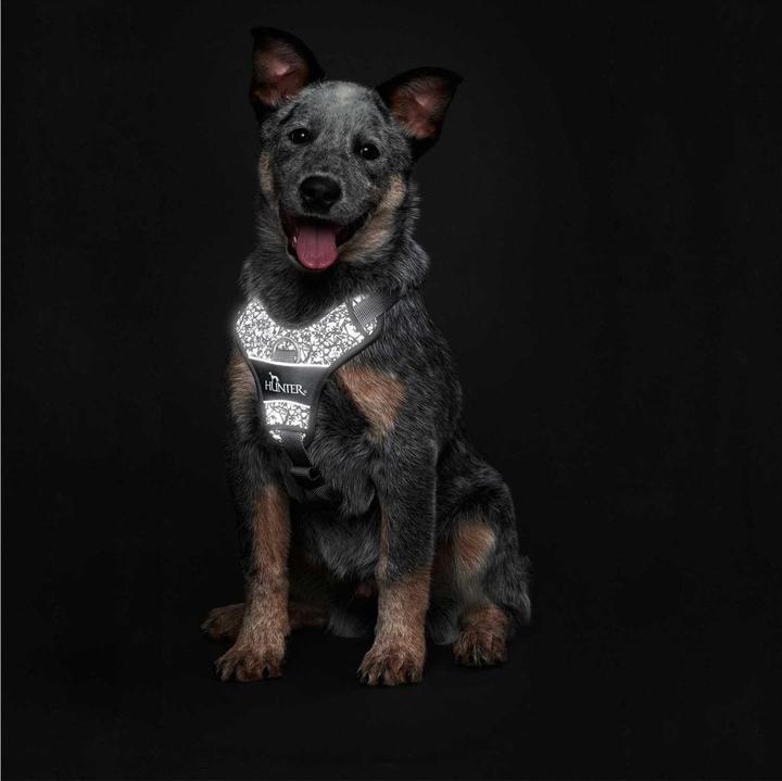 Produktbild Hunter Geschirr Divo Reflect nylonpolyester (L, Hund, Allgemein)