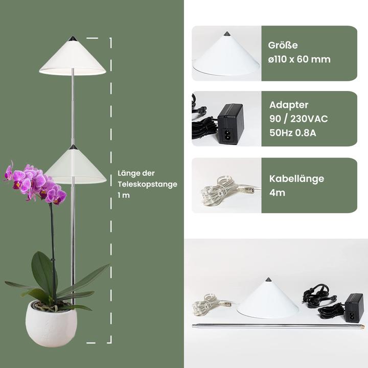 Image du produit Colibri SUNLiTE blanc (LED, 230 V)