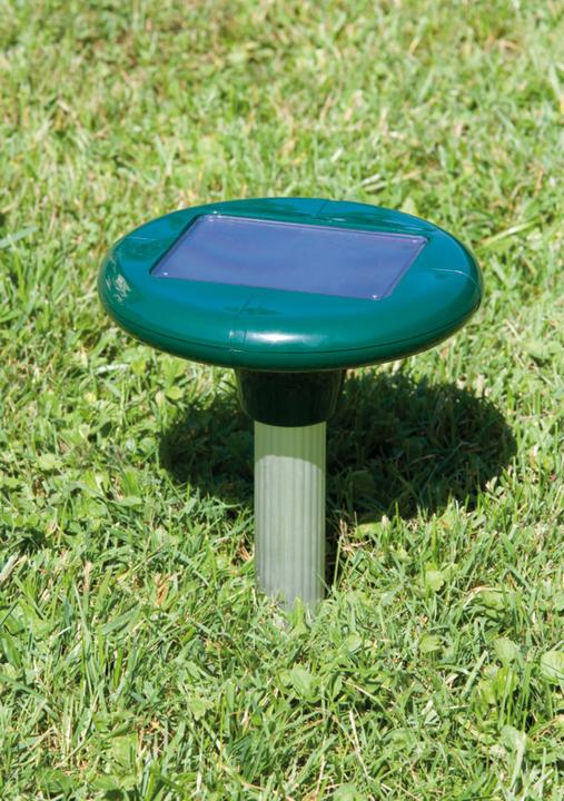 Produktbild Windhager Wühlmaus-Schocker Solar