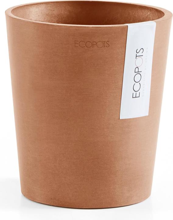 Actual product image Ecopots Morinda