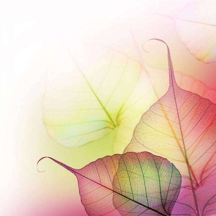Actual product image Trenddeko Pink design (192 x 350 cm)