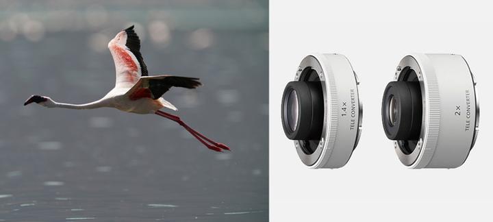 Actual product image Sony 600mm f/4 GM OSS E - Import (Sony E, APS-C / DX, full size)