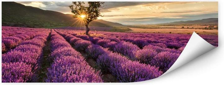 Produktbild Trenddeko Lavendelblüte in der Provence - 01 (150 x 60 cm)