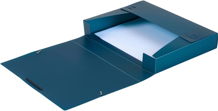 Actual product image Dufco Document File (A4, 1 x)