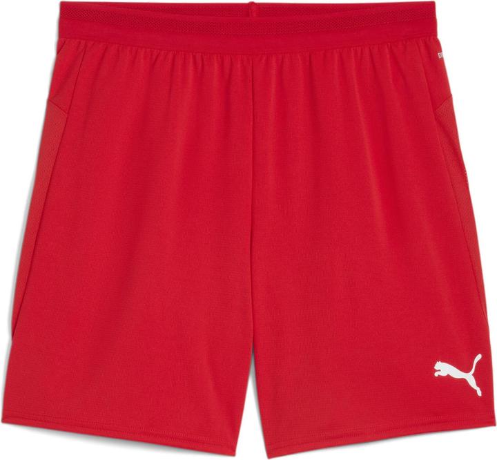 Puma teamCUP Shorts