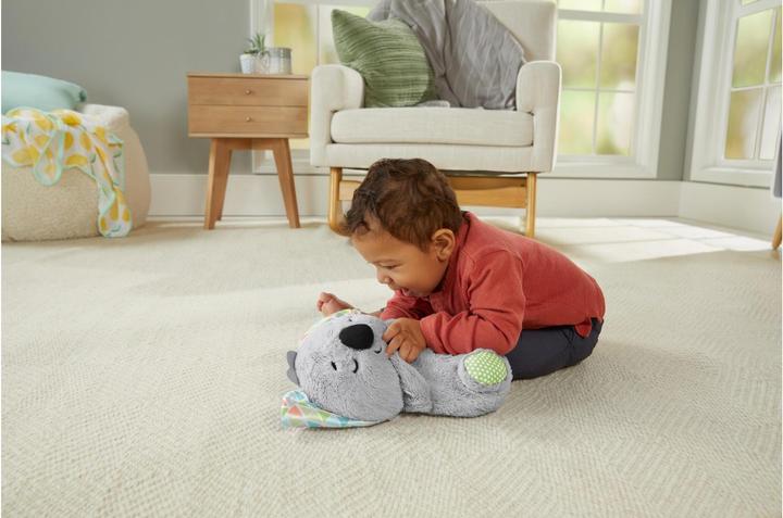 Actual product image Fisher-Price Soothe 'n Snuggle Koala