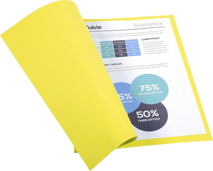 Actual product image Exacompta Collection folders - File covers (24 x 32 cm, 50 x)