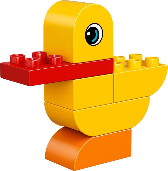 Actual product image LEGO My first building blocks (10848)