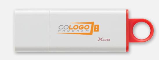 Actual product image Kingston DataTraveler G4 32GB Red CoLogo (32 GB, USB-C)