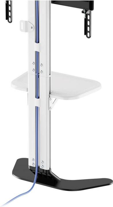 Actual product image SpeaKa Professional SP-TVS-600 TV-Standfuss Höhenverstellbar 94,0 cm (37") - 218 (86", 45 kg)