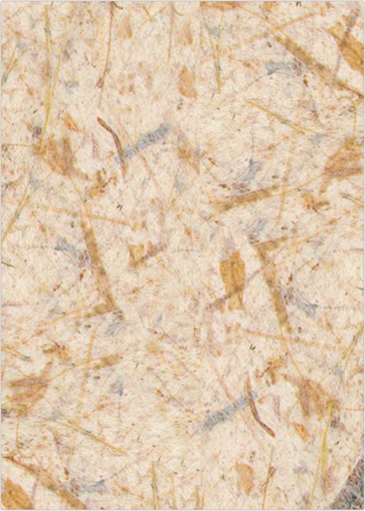 Actual product image Ursus DIGITAL - Banana Paper (35 g/m², 10 x)