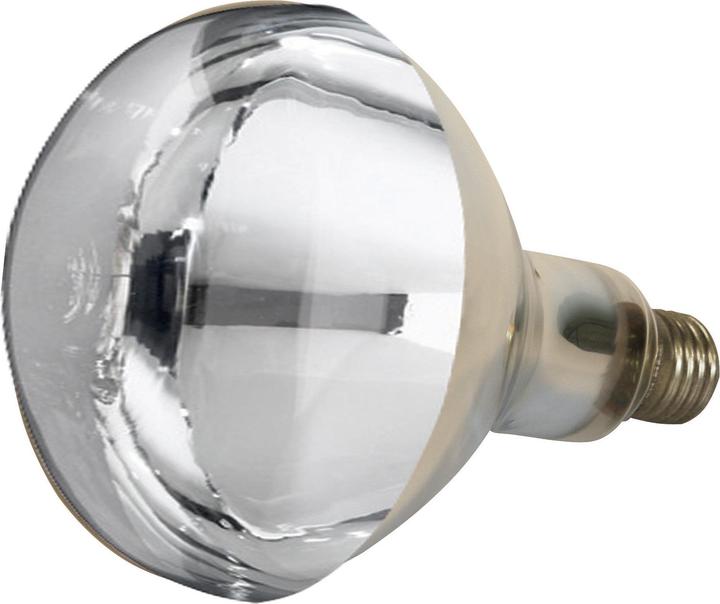 Image du produit Kerbl Lampe infrarouge en verre trempé transparent E27 (150 W)