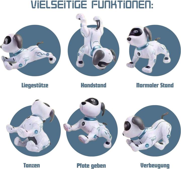Produktbild Hermex Roboterhund