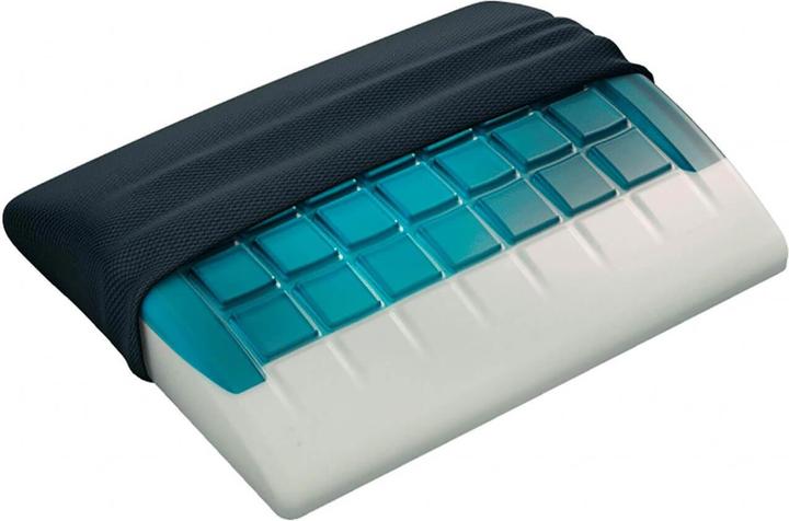 Image du produit Technogel Lordosenstütze (31 x 26 x 6 cm)