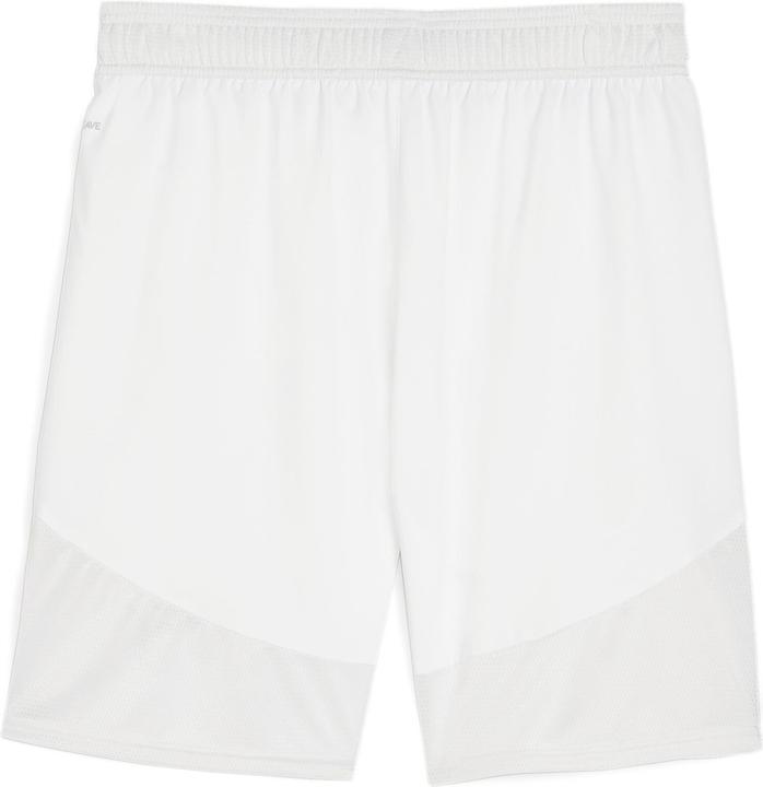 Image du produit Puma Short teamFINAL (XS)