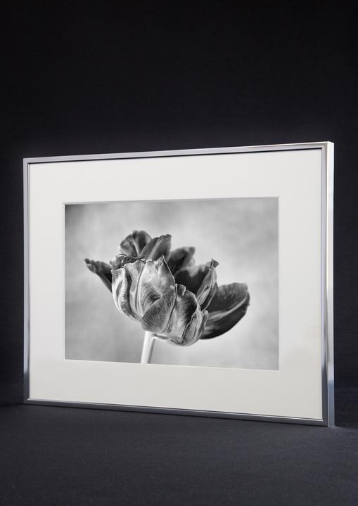 Actual product image Nielsen Accent (18 x 24 cm)