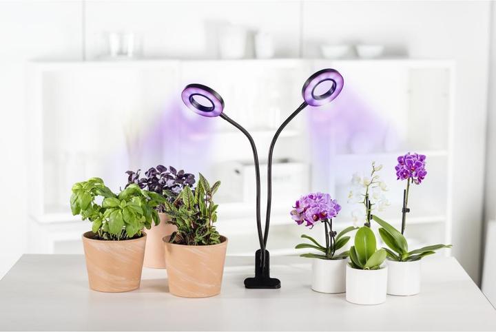 Actual product image Xavax Circle (LED, 5 V)