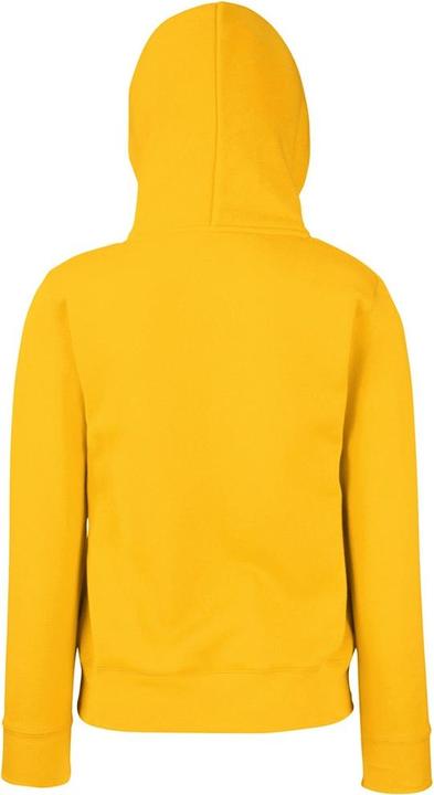 Image du produit Fruit of the Loom Pull à capuche Lady Fit (M)